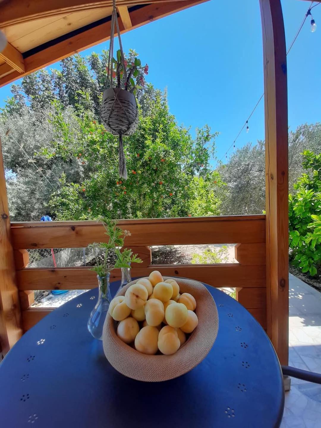 Happy Glamping Cy